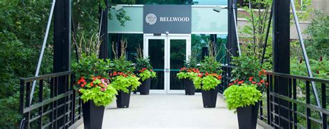 Bellwood rehab com